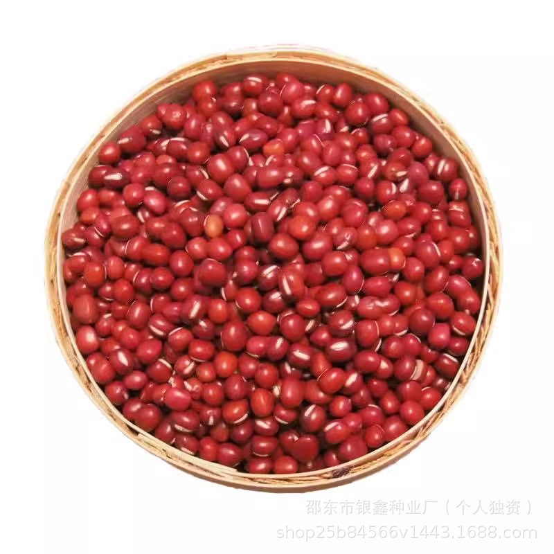 7be3cf9c-f12b-45e6-85a8-20e87a27f6ea