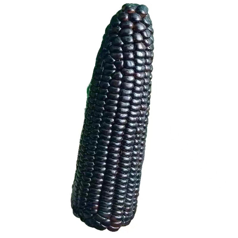 d2898cec-7cd0-4da2-a21a-25fc0bc48db9