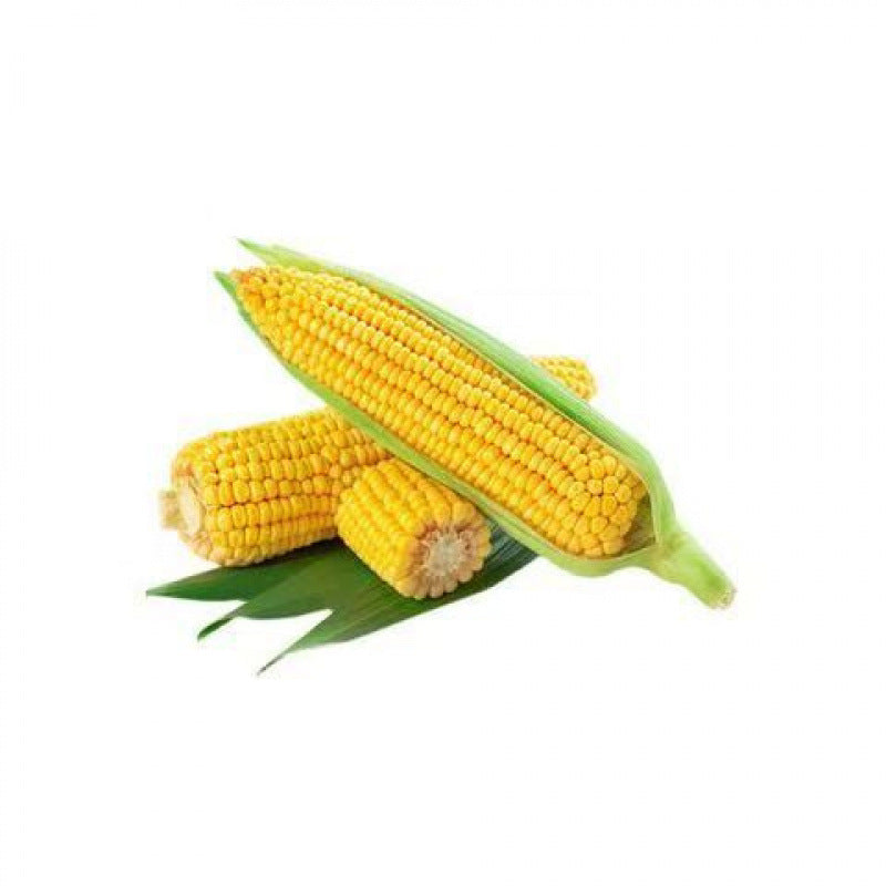 4eb6dbd9-1c66-4477-b1f5-90e7cb9f36a6