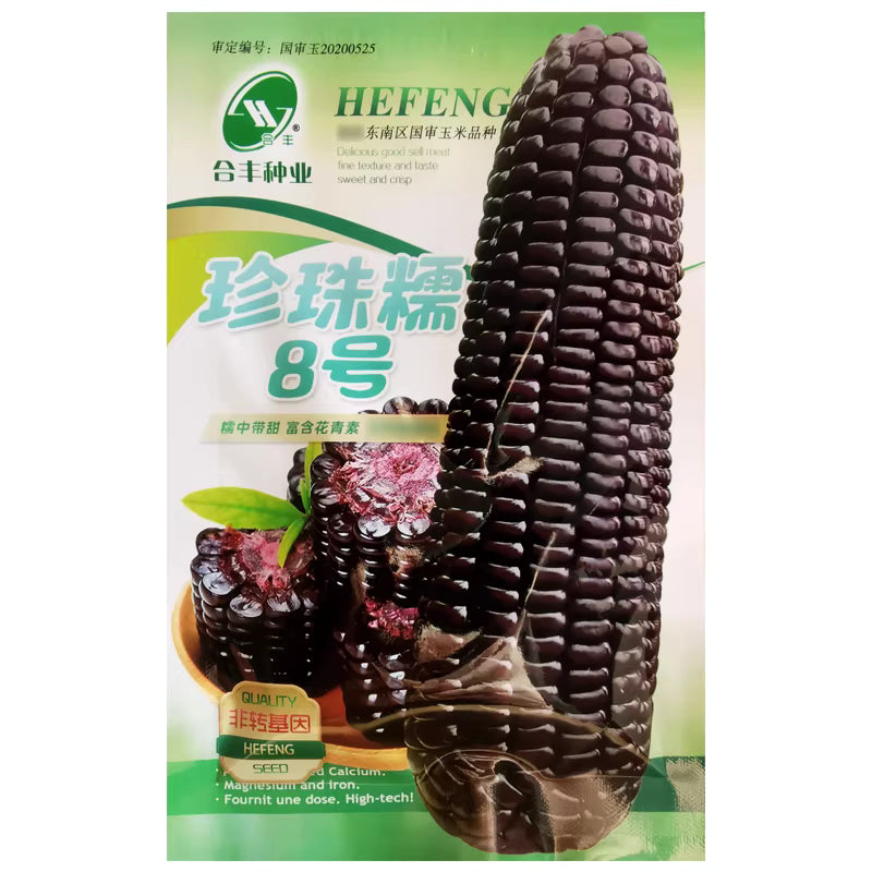 Purple corn seeds