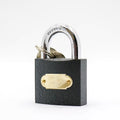Iron lock