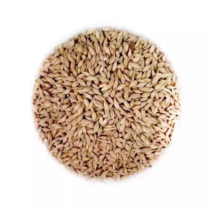 Wheat seeds