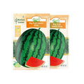 cd6e5818-538b-47a8-aaca-8bd1142a8800