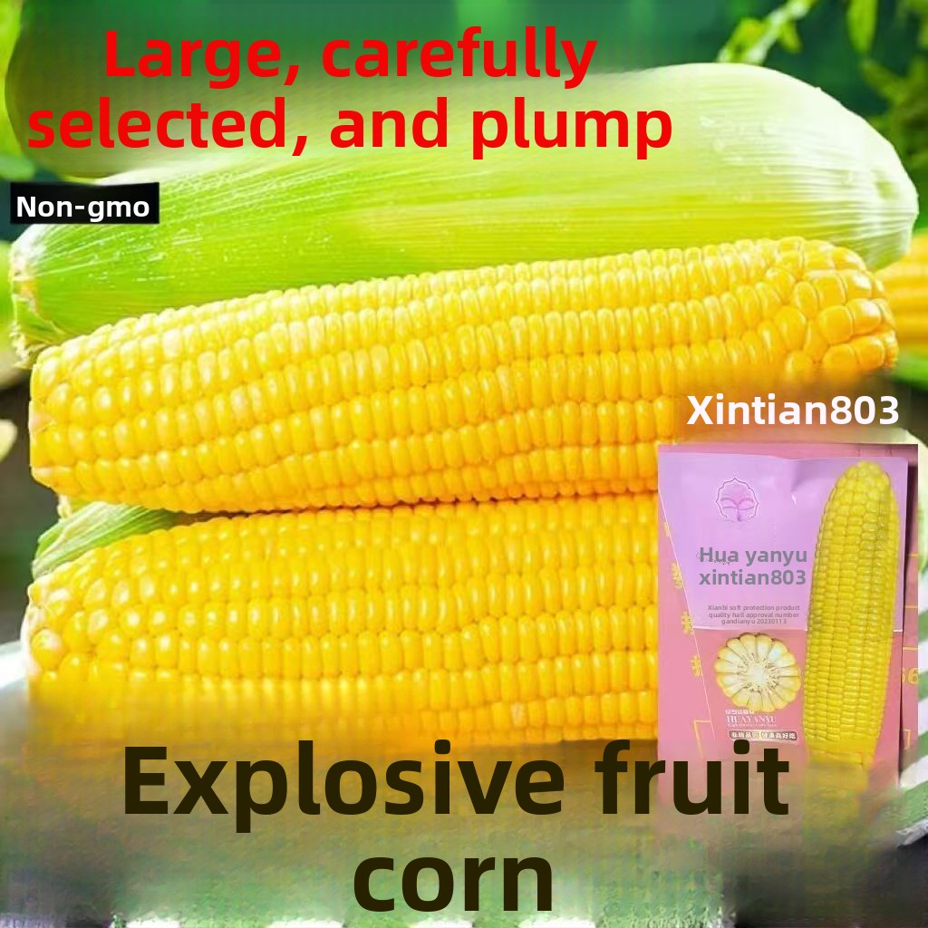 89fed0a9-8619-45e3-bd36-41df55e05ed3